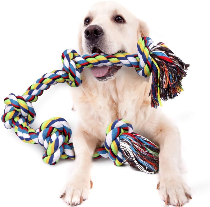 Tug Knot Rop Toy