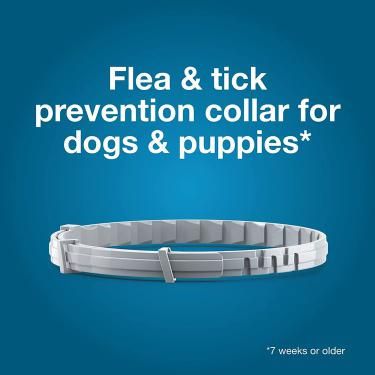 Elanco Seresto Flea & Tick Collar - Small Dog (18 lbs)