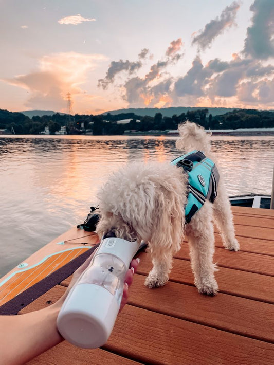 Portable pet travel bottle
